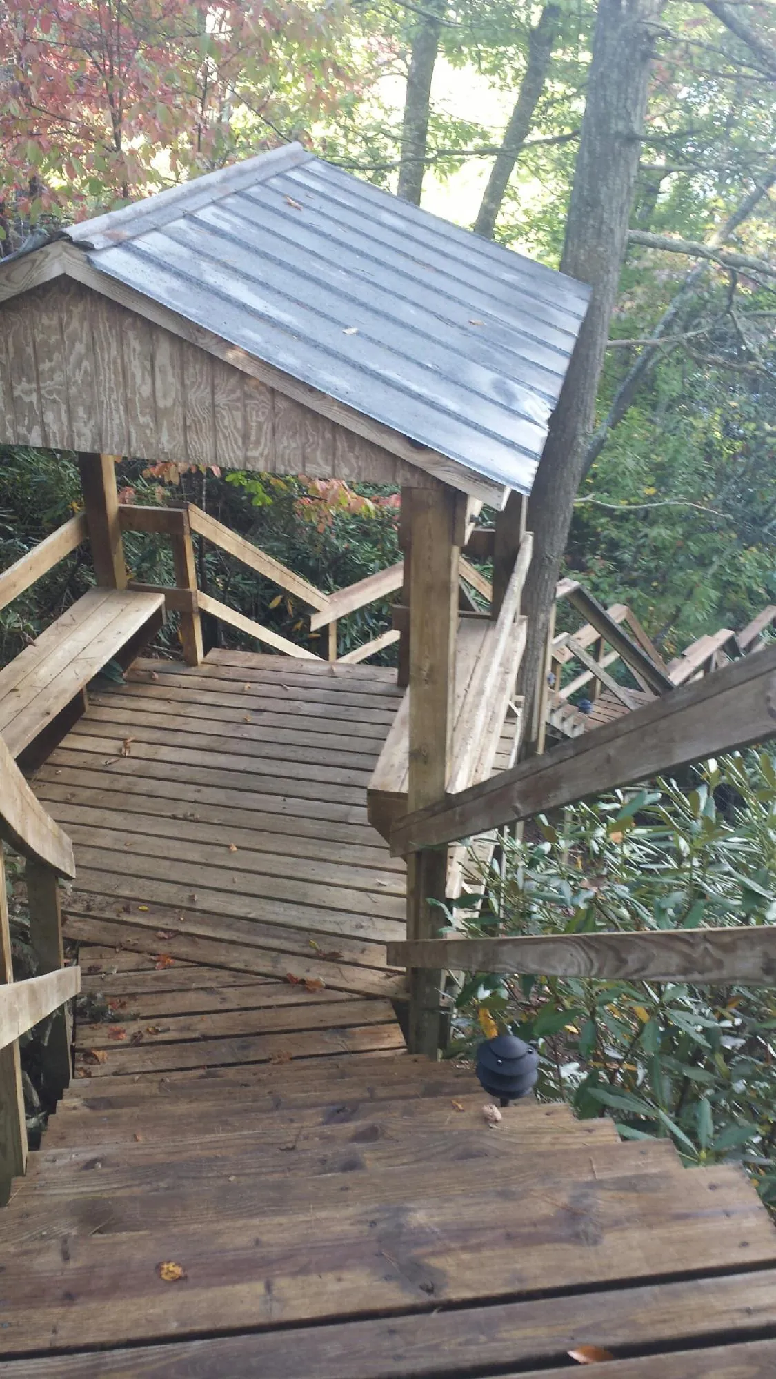 Metal roofed shelter over wooden steps on a wooded walkway — Skylight Repair & Installation work by our crew in Gainesville